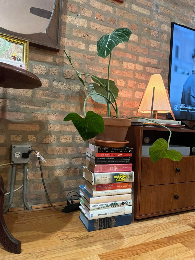 My philodendron gloriosum is drooping so I repotted it - need some advice please.