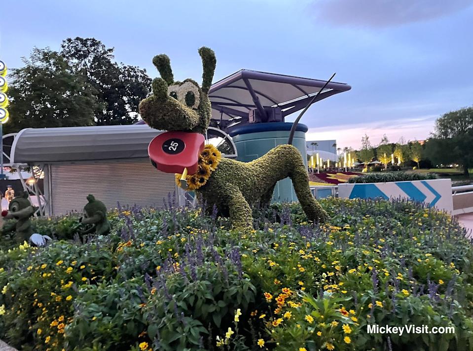 Pluto at epcot flower and garden