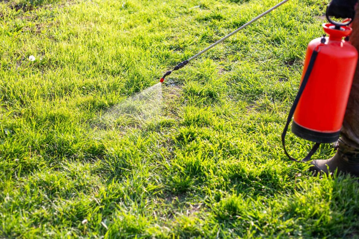 This Is the Best Time to Prep Your Lawn If You Want Weed-Free Grass This Spring
