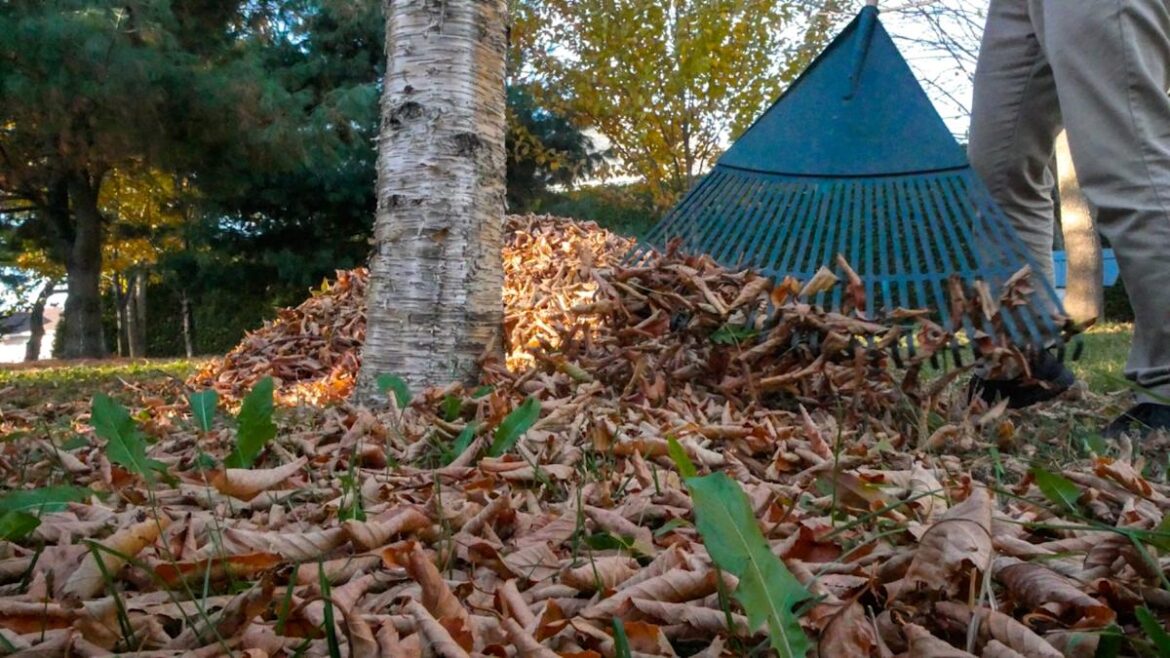 'I think I know the root of my … problem'