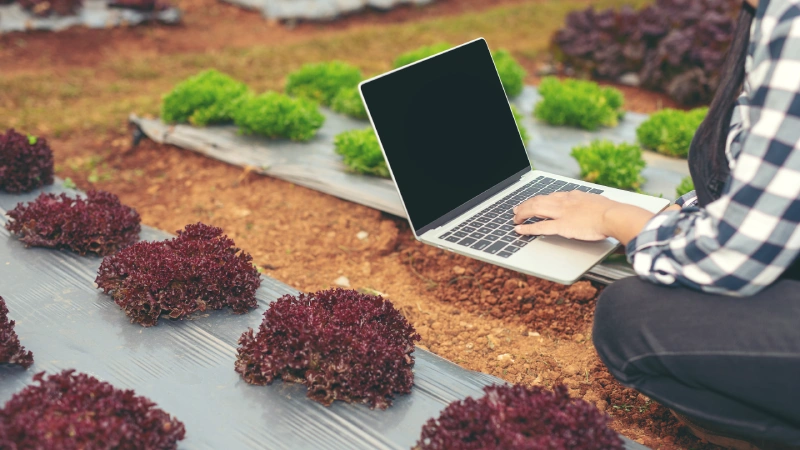 digital farming