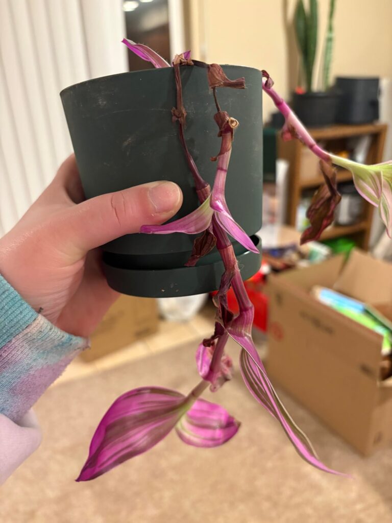 Have you ever seen this happen? Have you ever seen this happen?