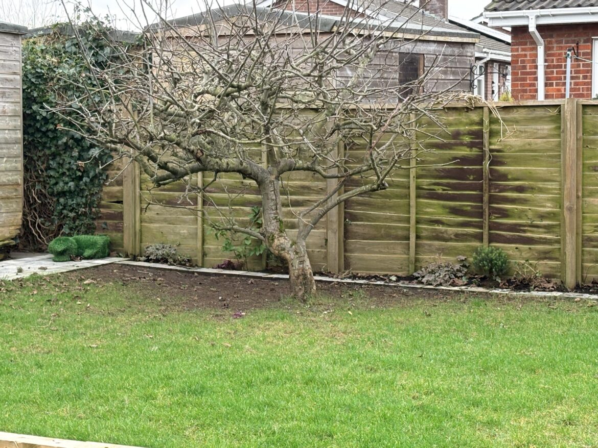 First winter with a garden, 2 questions.