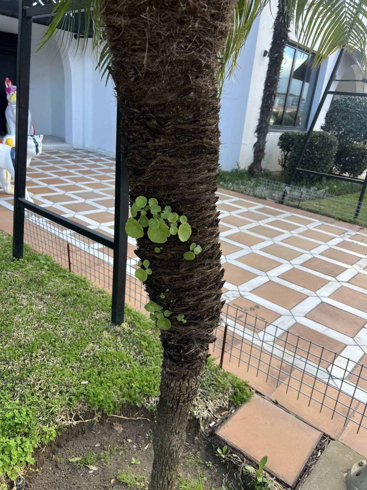 Interesting growth, what is it?