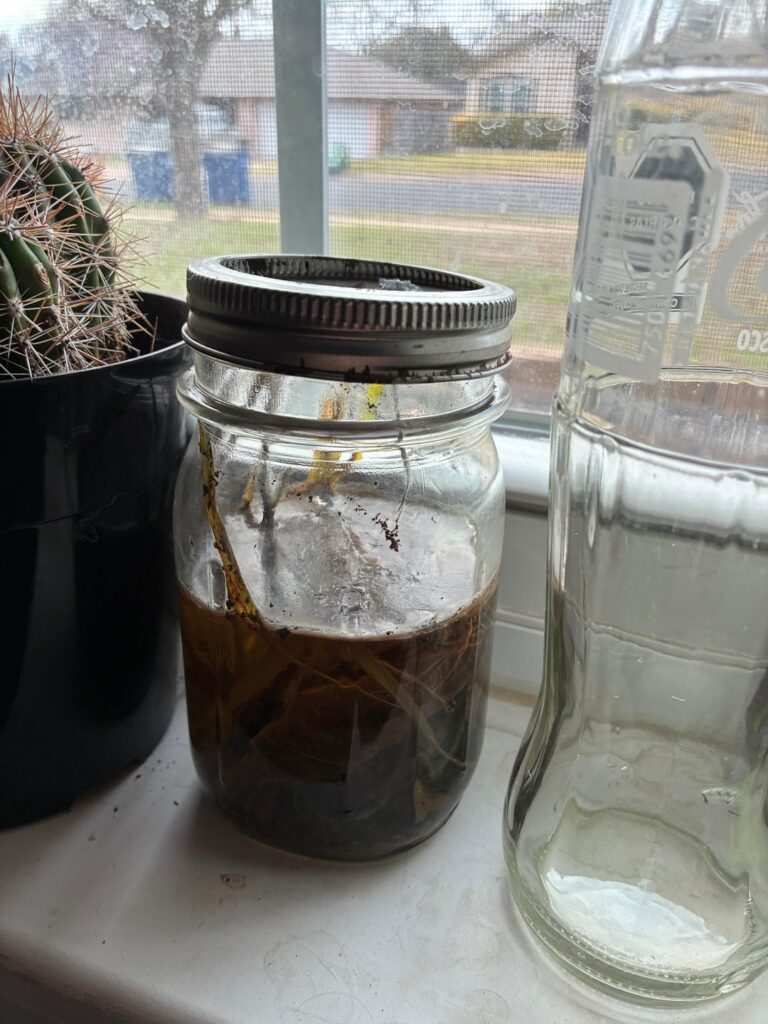 Creek Jar (2 week update) Creek Jar (2 week update)