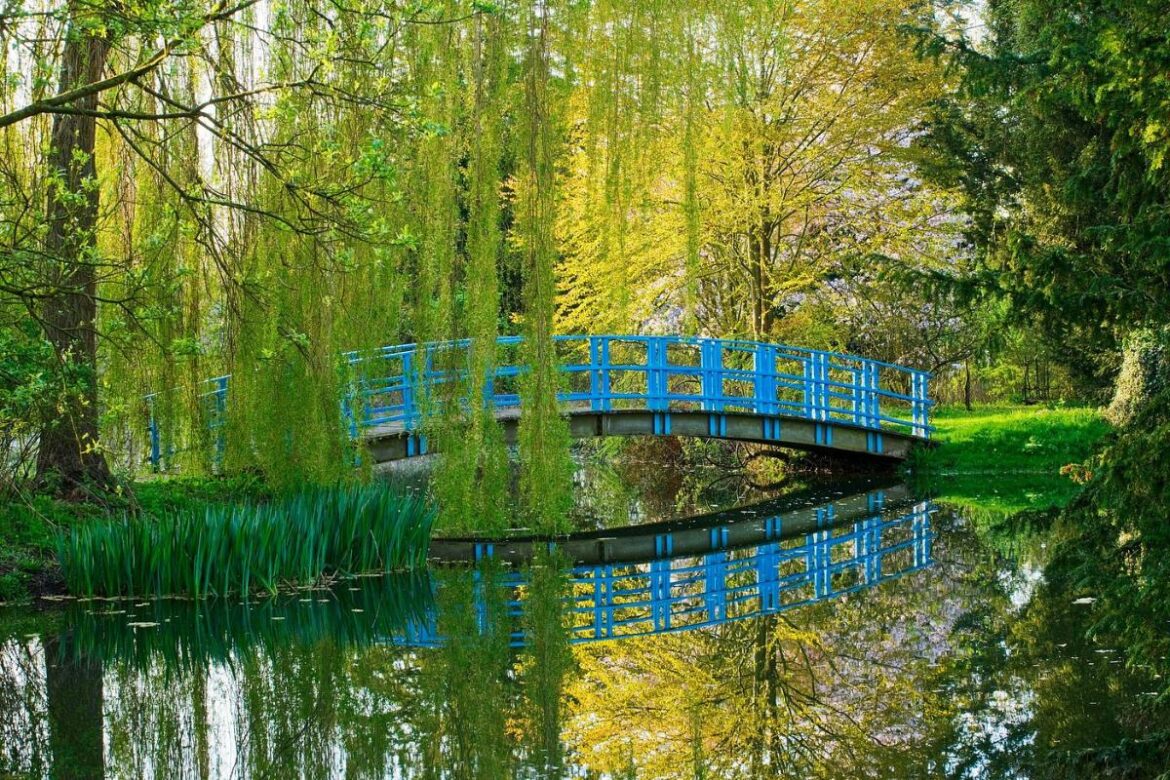 ‘Beautiful’ garden in Oxfordshire named among UK’s best places to spot snowdrops 'Beautiful' garden in Oxfordshire named among UK's best places to spot snowdrops