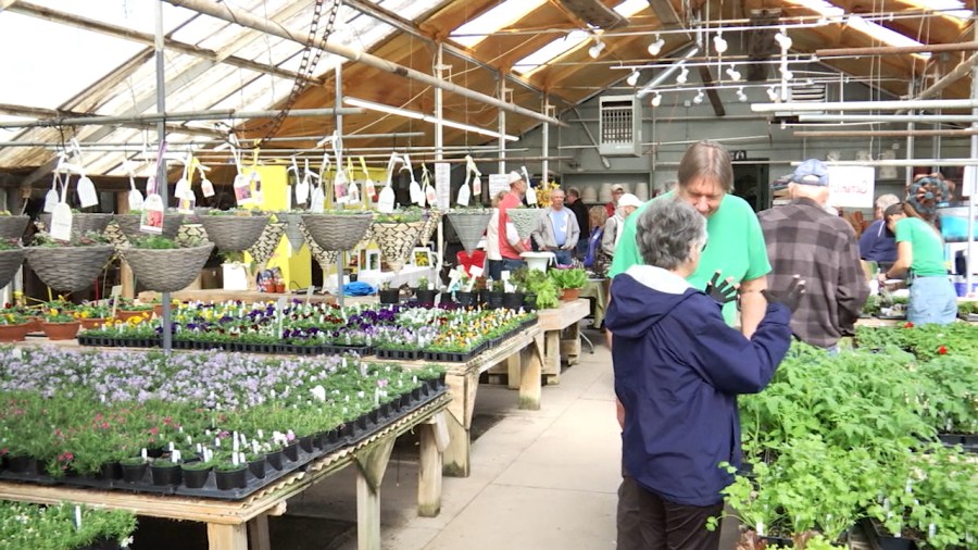 Local greenhouse hosts ‘garden show’ ahead of warming temperatures Yahoo lifestyle home