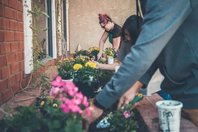 Family gardening together