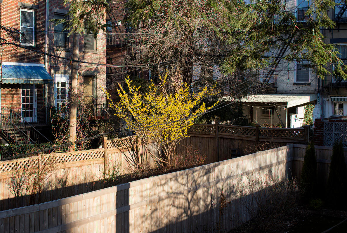 Photo by Andrew Lichtenstein on Getty Images