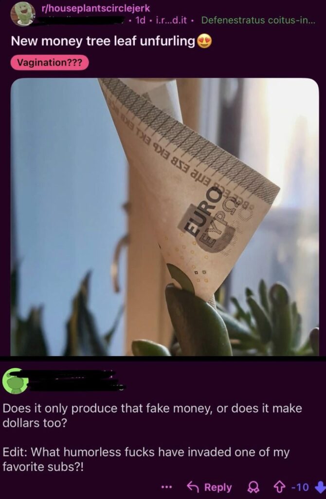 When did you humourless fucks invade his favourite sub? Should he use neem???