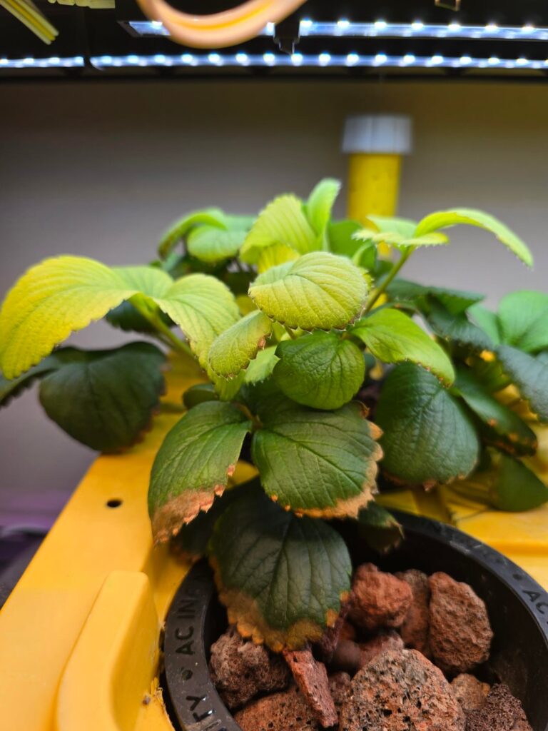 Has anyone else had this happen?