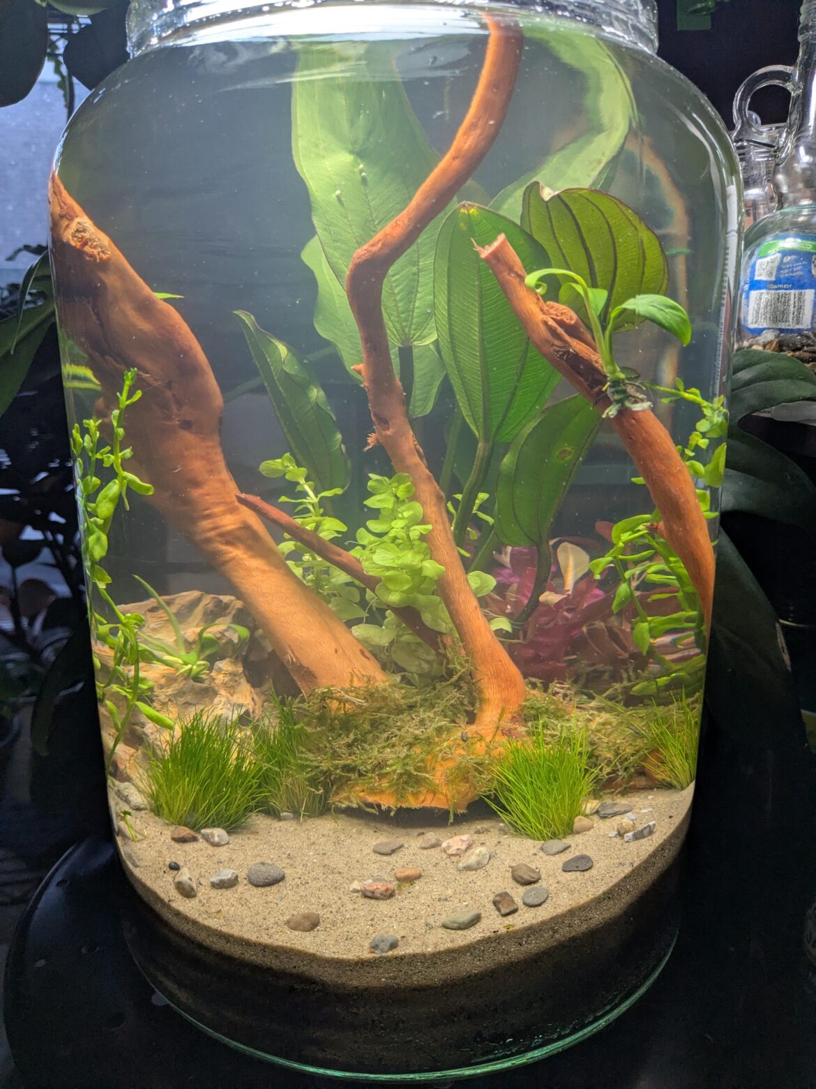 Finally finished and ready to cycle
