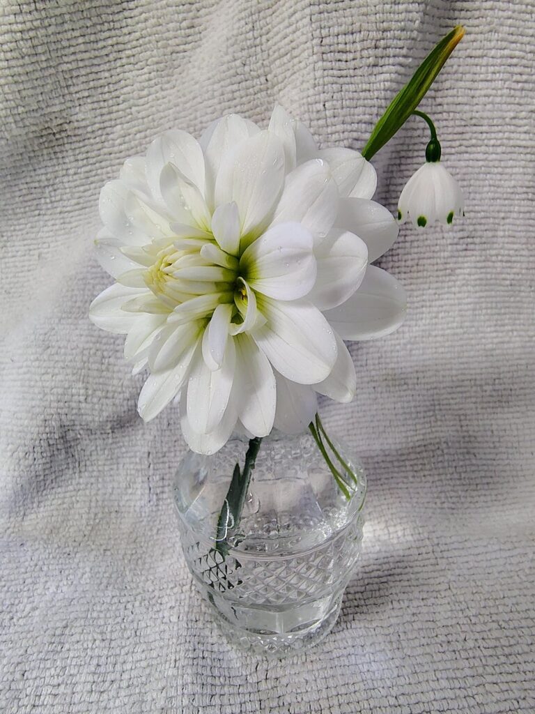 Good Morning from my girls! Good Morning from my girls!