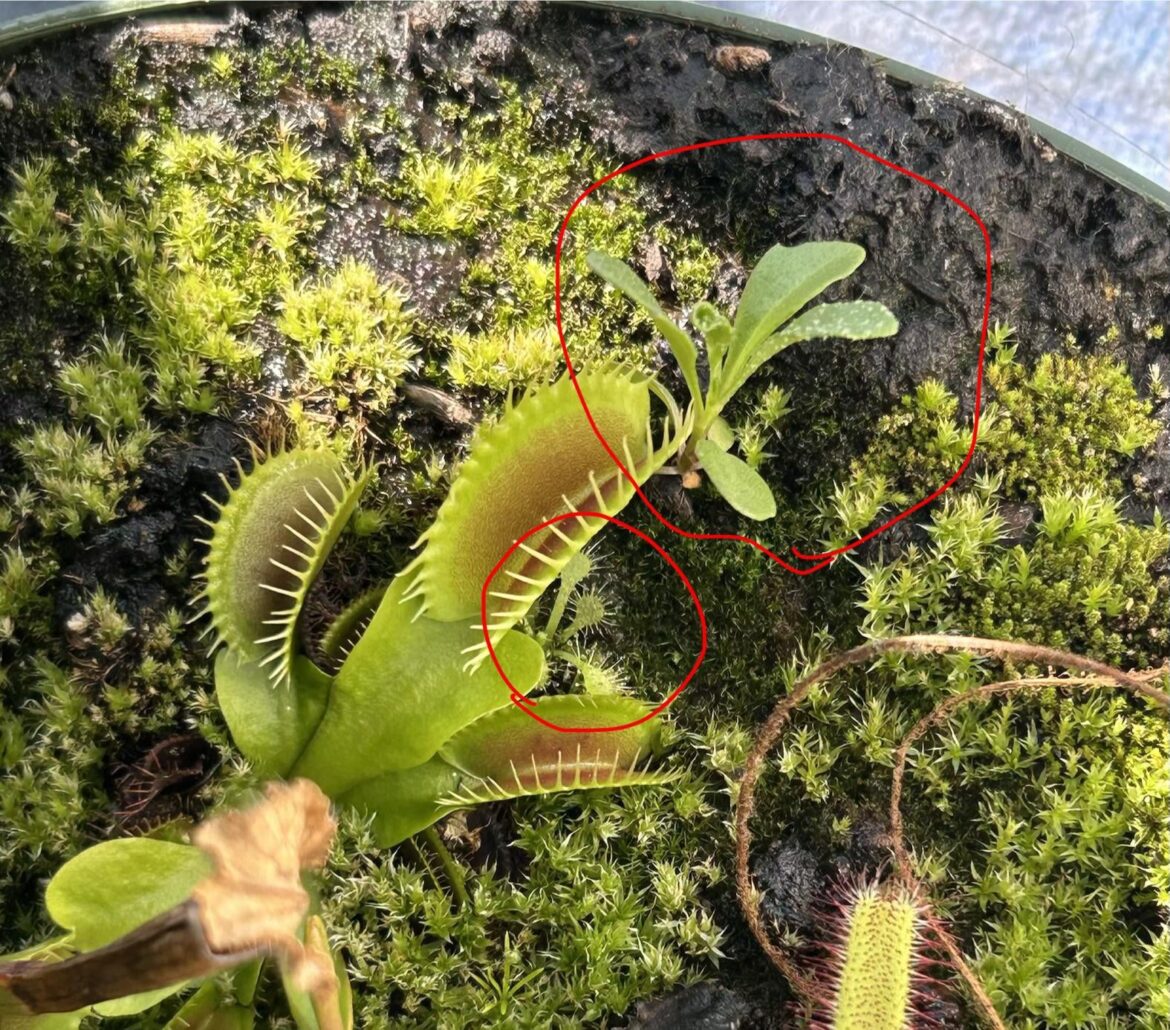 Who are they?? Who are they??