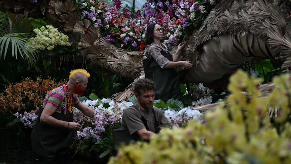 Three horticulturalists arrange orchid arrangements on and around the dragon sculpture