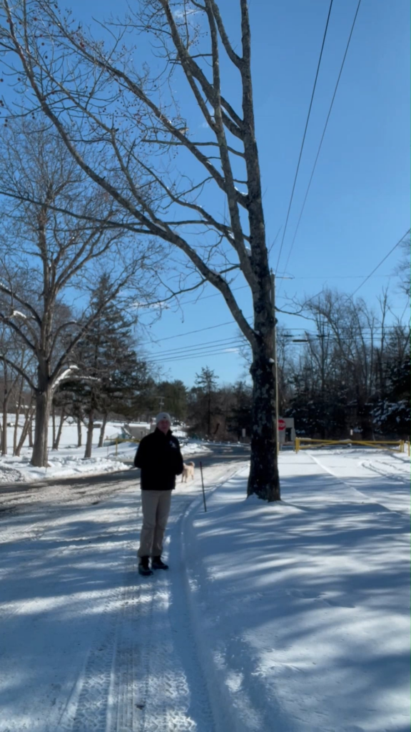 Evaluating utility pruning quality: clean reductions vs poor practice