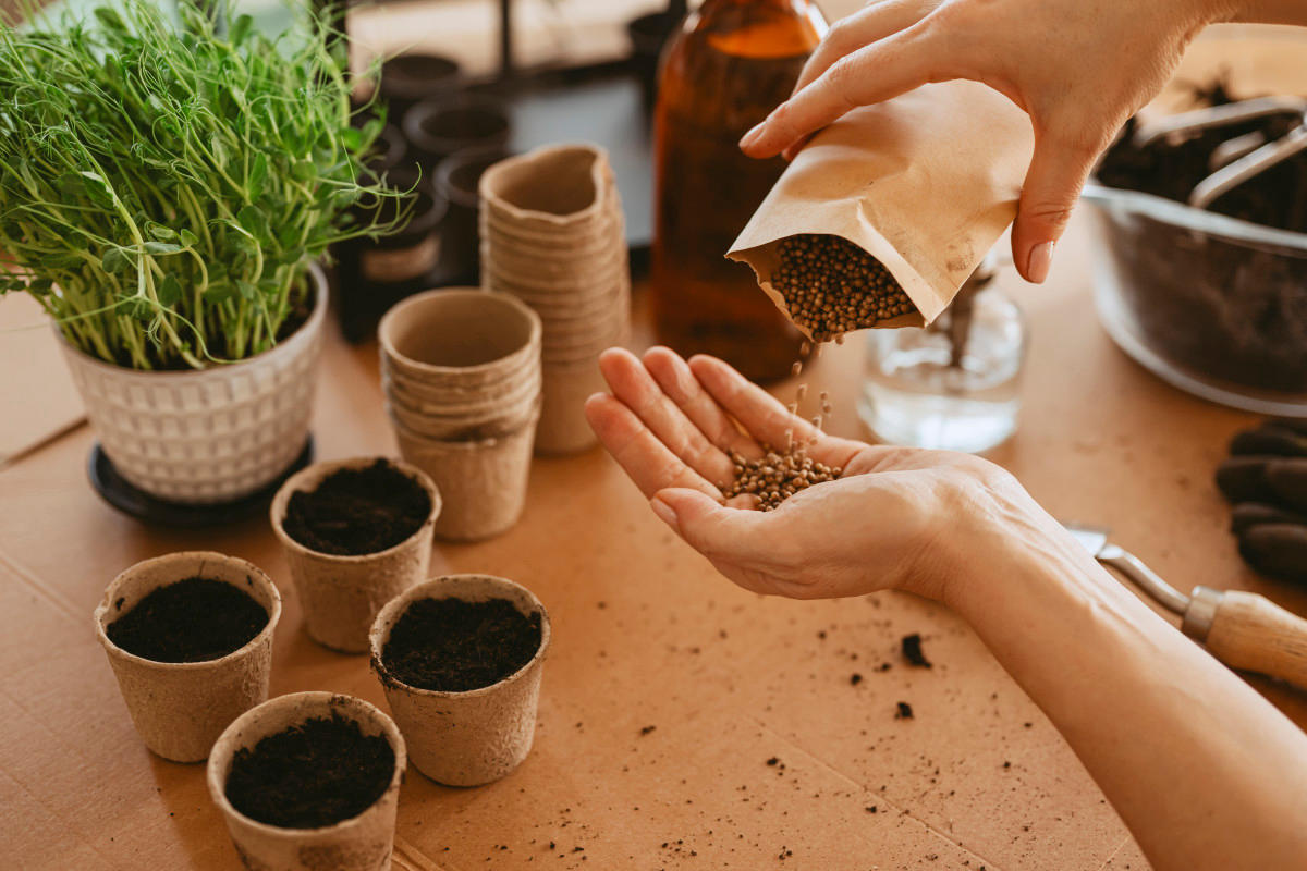 Photo by knape on Getty Images