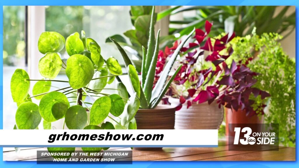 Sponsored: Houseplant Guru plants seeds of inspiration at Home & Garden Show Sponsored: Houseplant Guru plants seeds of inspiration at Home & Garden Show