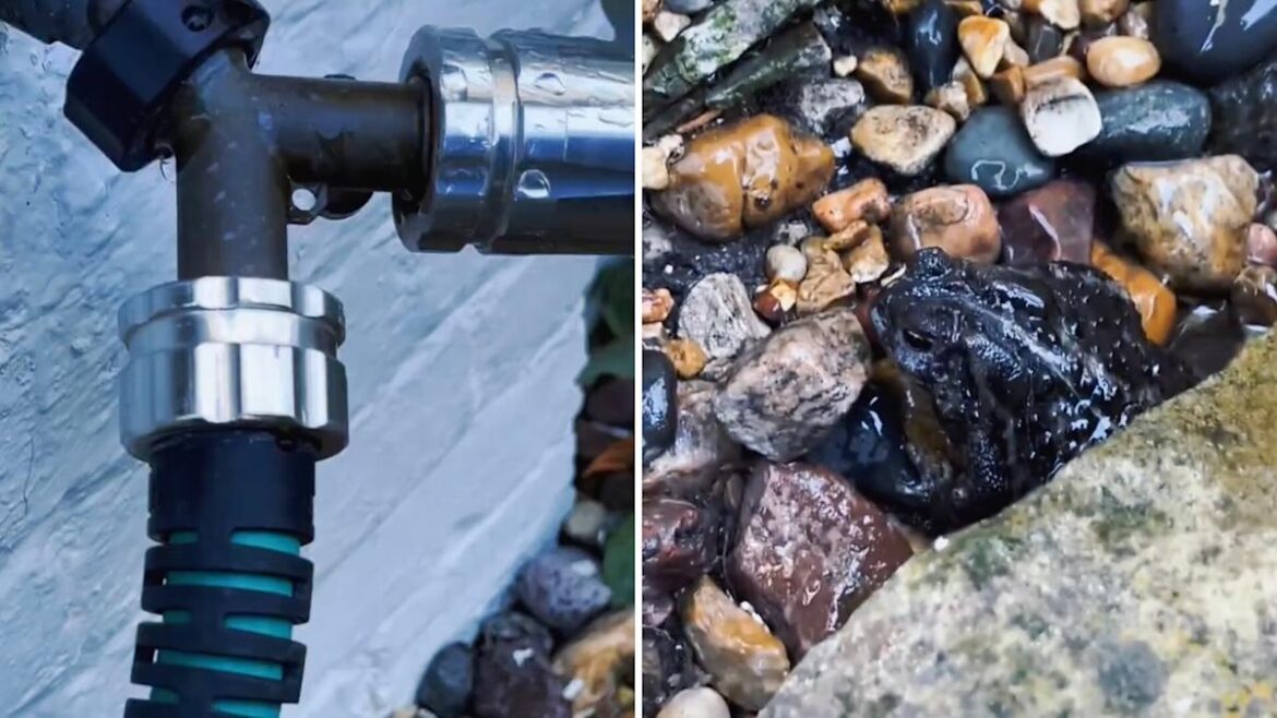 ‘Sometimes it’s just the little things’ 'Sometimes it's just the little things'