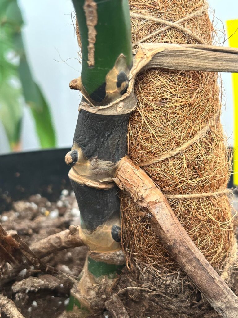 What to do from here? What to do from here?