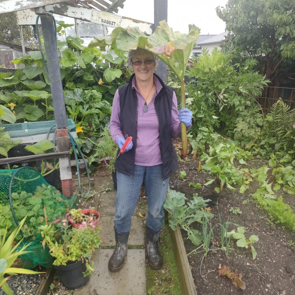 ‘Forever evolving’ garden to offer bouquets, blooms ‘Forever evolving’ garden to offer bouquets, blooms