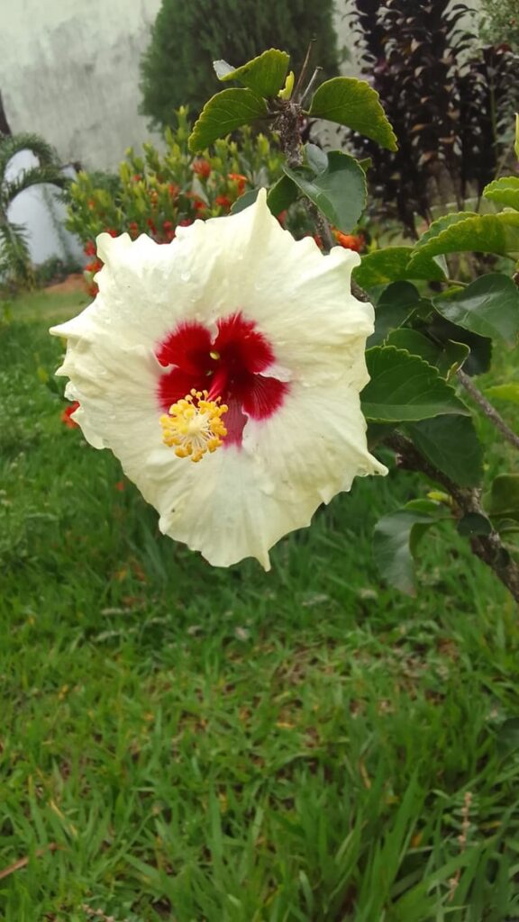 Everything we nurture with love is returned to us with love.