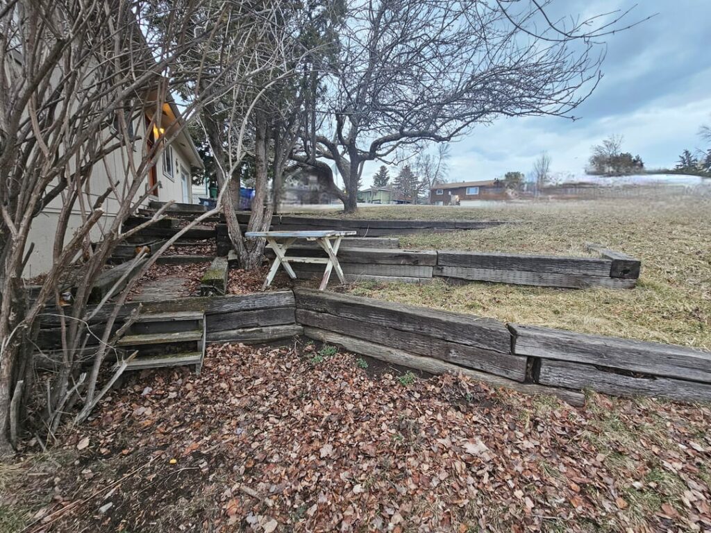 Too much for a newbie? Too much for a newbie?