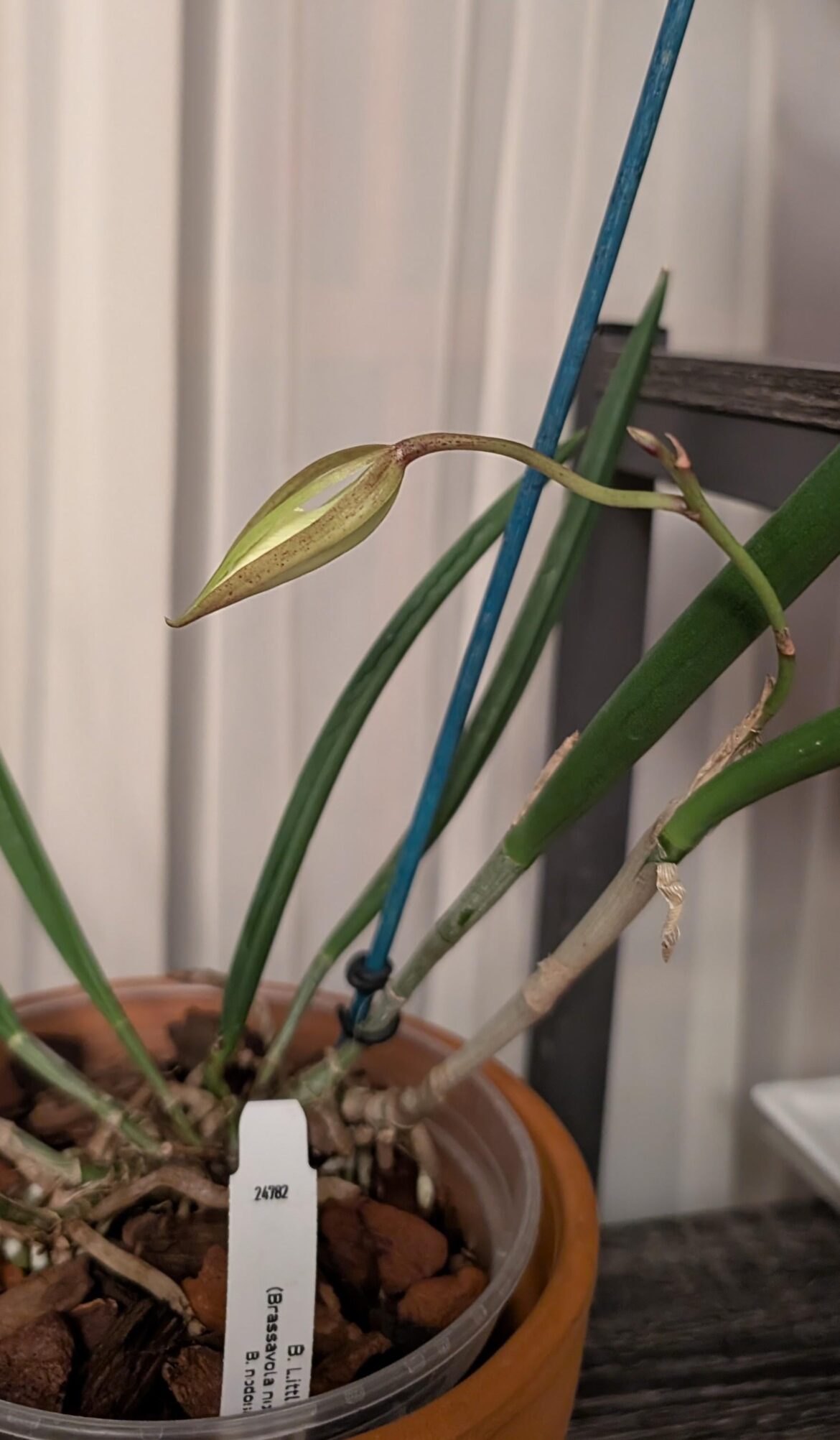 It finally happened!