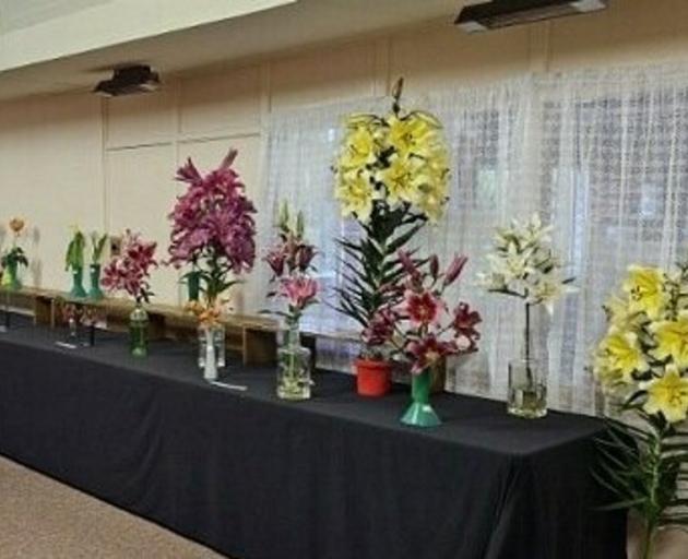 Exhibits in the last Bluff Garden Show. PHOTO: SUPPLIED