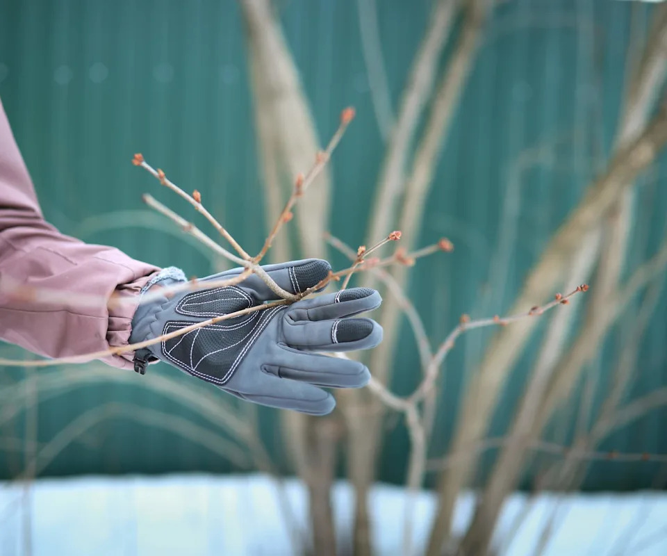 Woman pruning in a winter garden