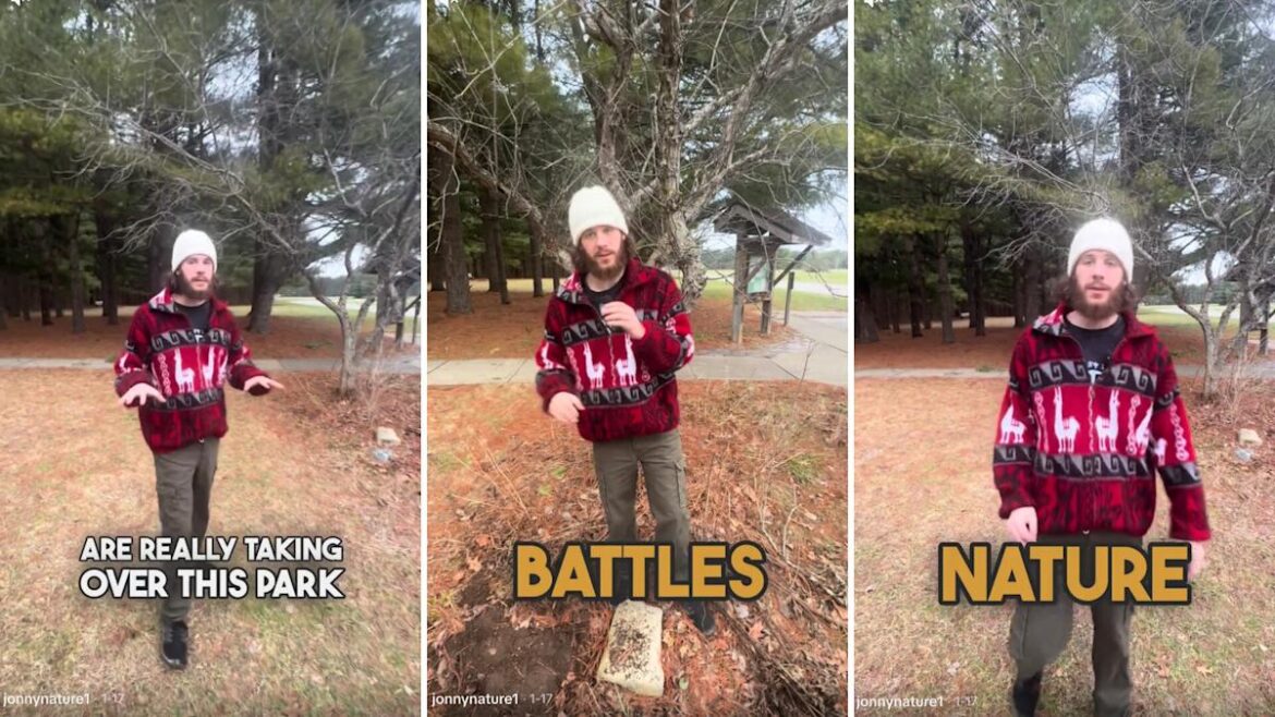 Man issues warning about harmful plant growing wild in US: 'They're invading'