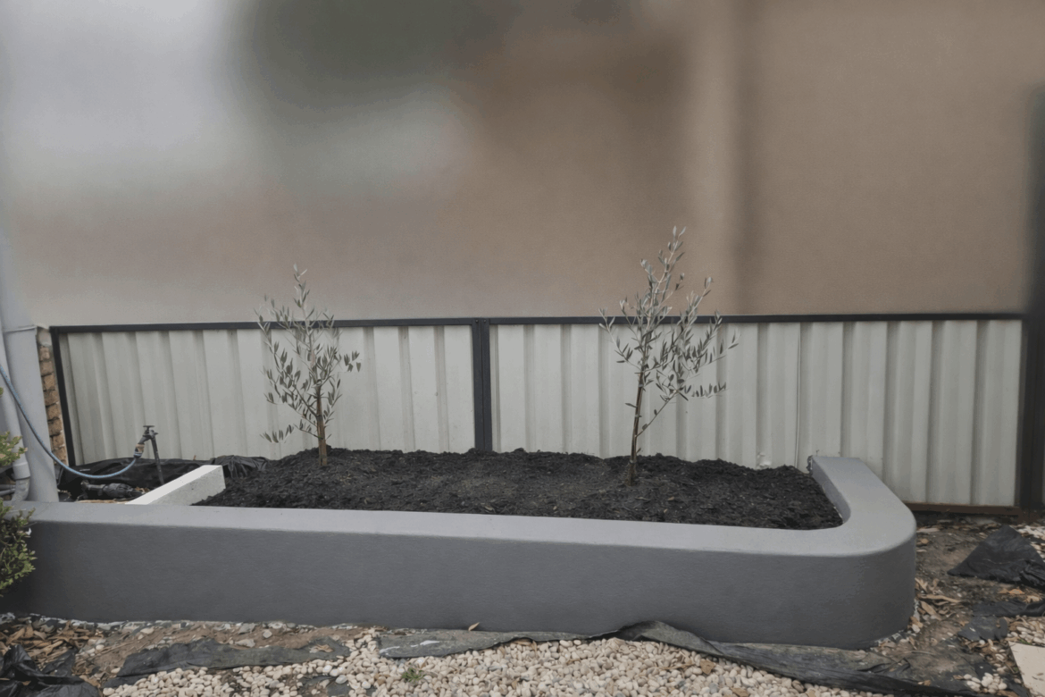 Ground cover suggestions please