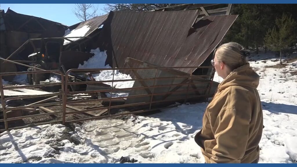“I heard a noise” | Pope County farmers, gardeners see collapses due to ice and snow "I heard a noise" | Pope County farmers, gardeners see collapses due to ice and snow