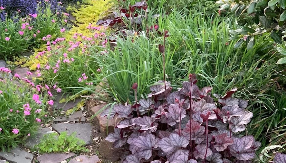 Gardener sparks envy with photos of unconventional yard: ‘Nice and full’ Gardener sparks envy with photos of unconventional yard: 'Nice and full'