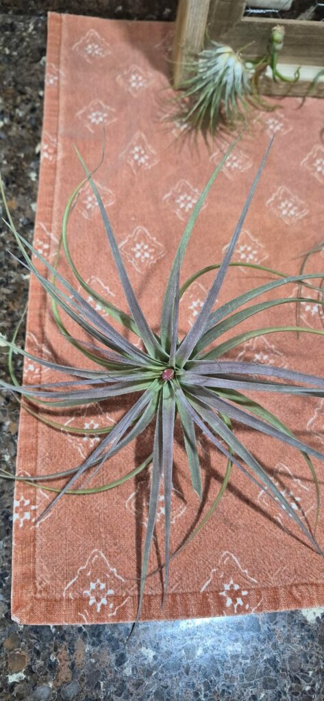 What is happening???