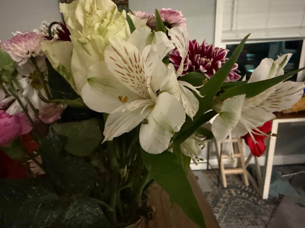 Asiatic or Peruvian Lily?