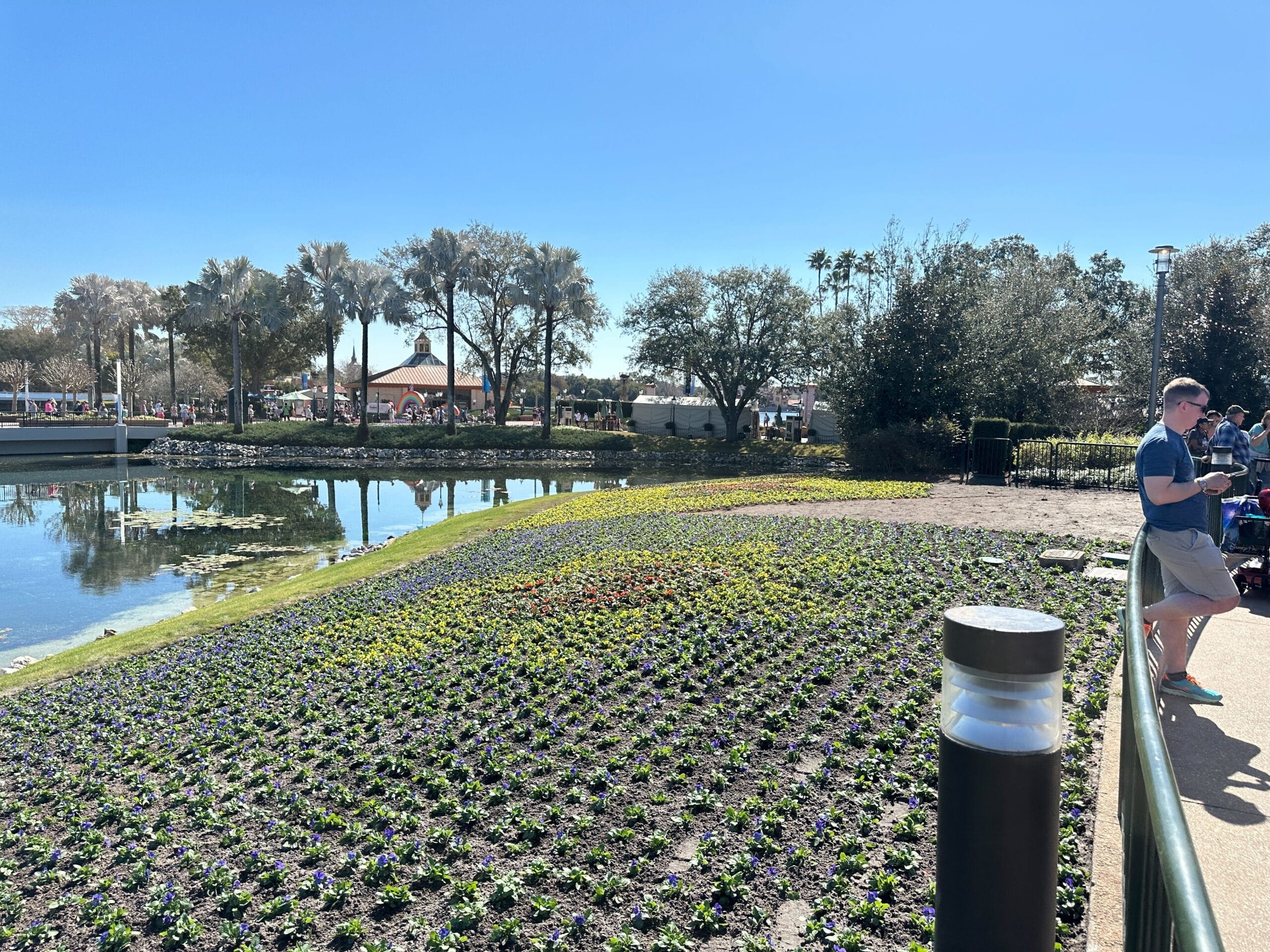 Upclose, we can see that these images are made up of many, many small plants. The plantings and installations will continue in the weeks leading up to the Flower and Garden Festival, which opens on March 4.