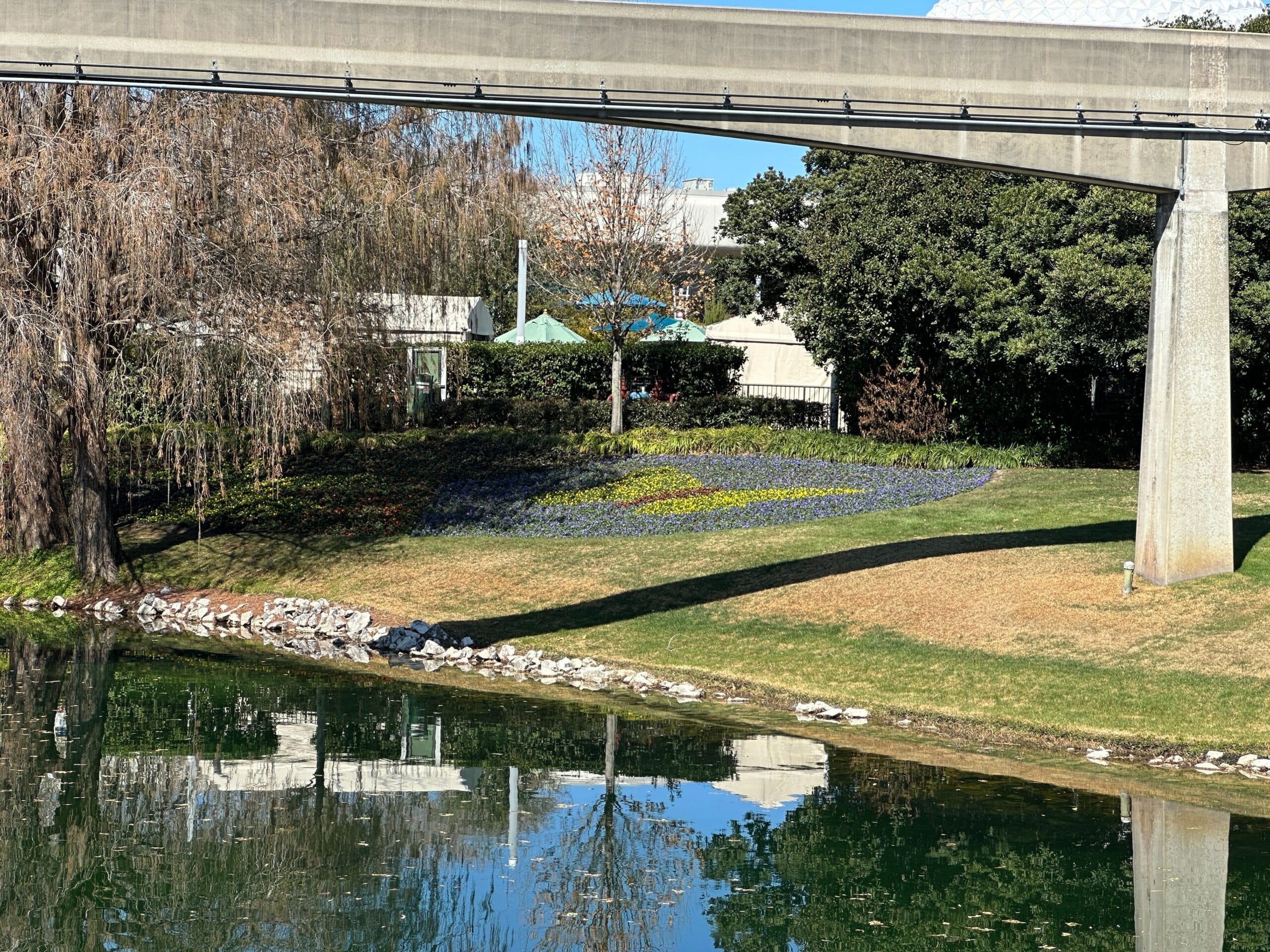 Upclose, we can see that these images are made up of many, many small plants. The plantings and installations will continue in the weeks leading up to the Flower and Garden Festival, which opens on March 4.