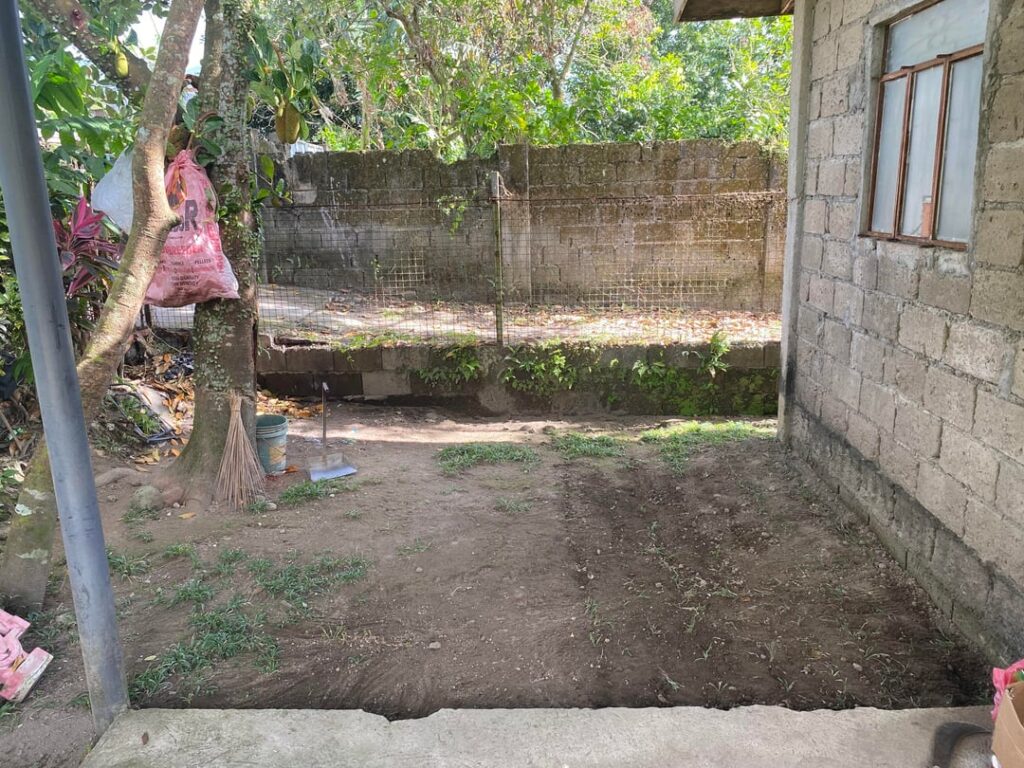 Need Ideas for a Shady Front Yard