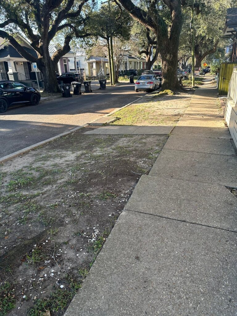 Advice needed for “lawn”