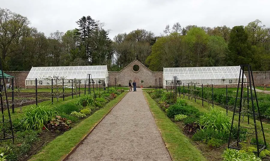 Two glasshouses at the end of a path surrounded by plants at Florence Court.