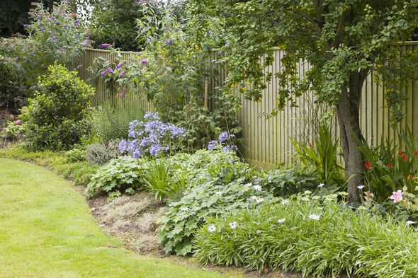 Flowerbed in a beautfiful English garden in summer, UK