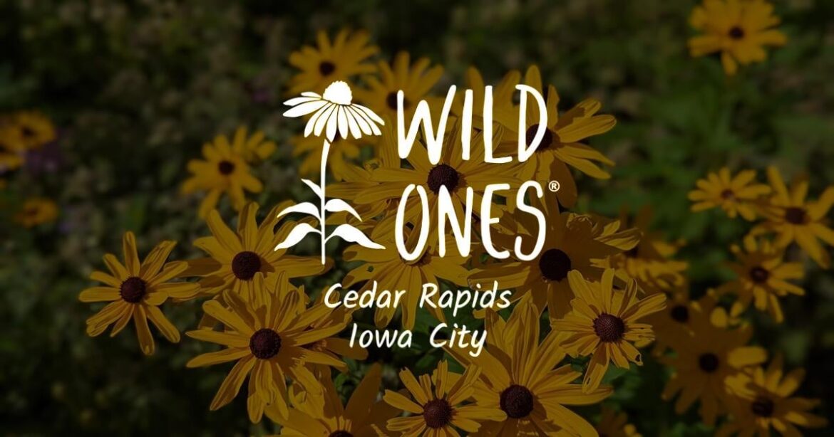 Where to source Native Plants? Looking for retailers in Iowa and surrounding states