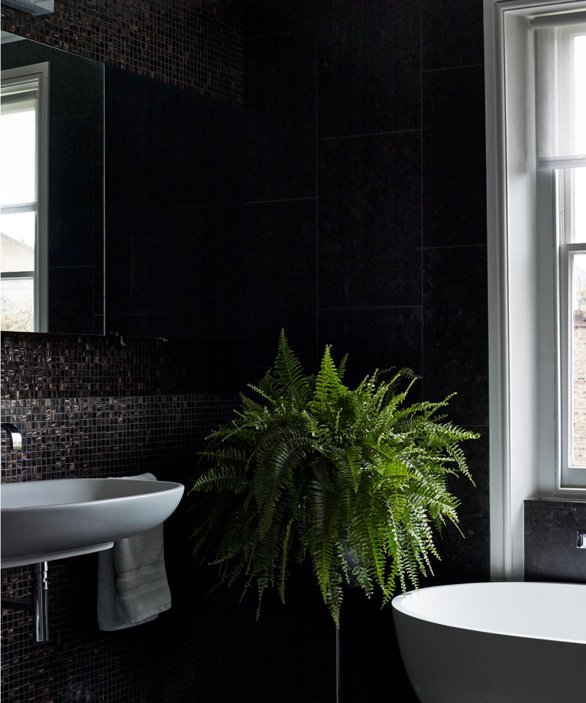 Boston fern in bathroom