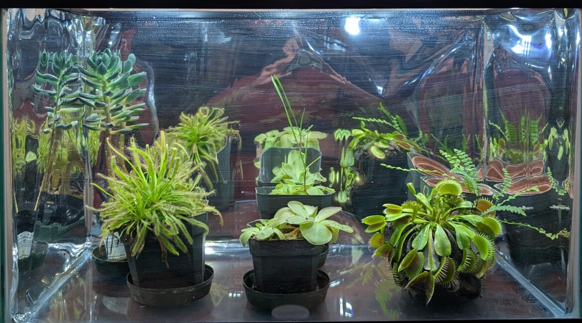 Did some early spring cleaning