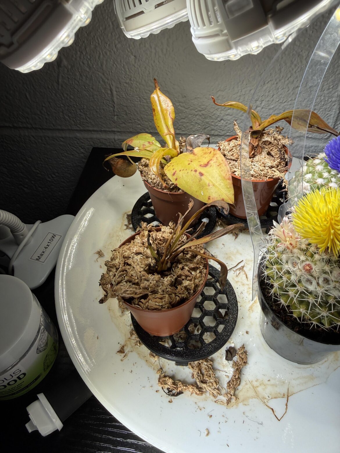 I think I’ve lose my VFT I think I’ve lose my VFT