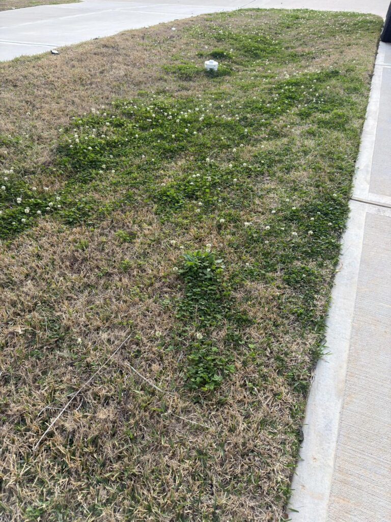 Help Needed Help Needed