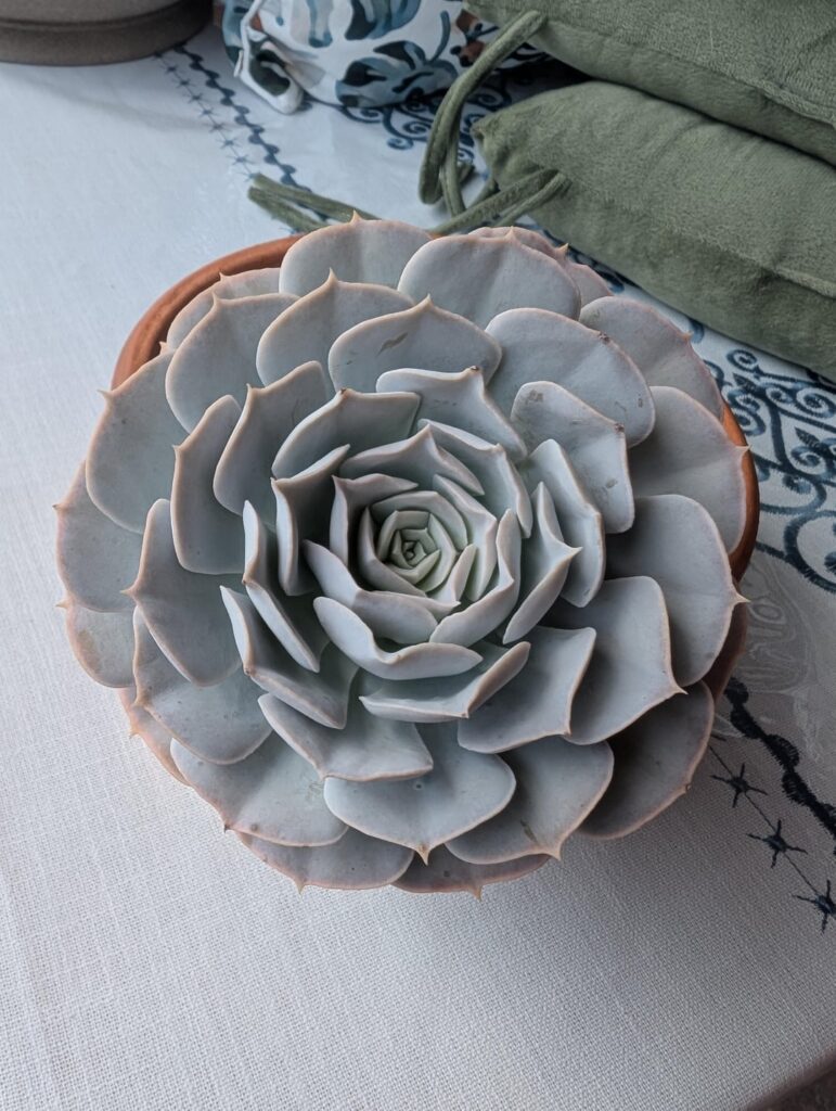 What happens next? Swipe left