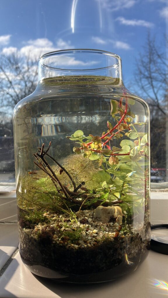 Jar redone