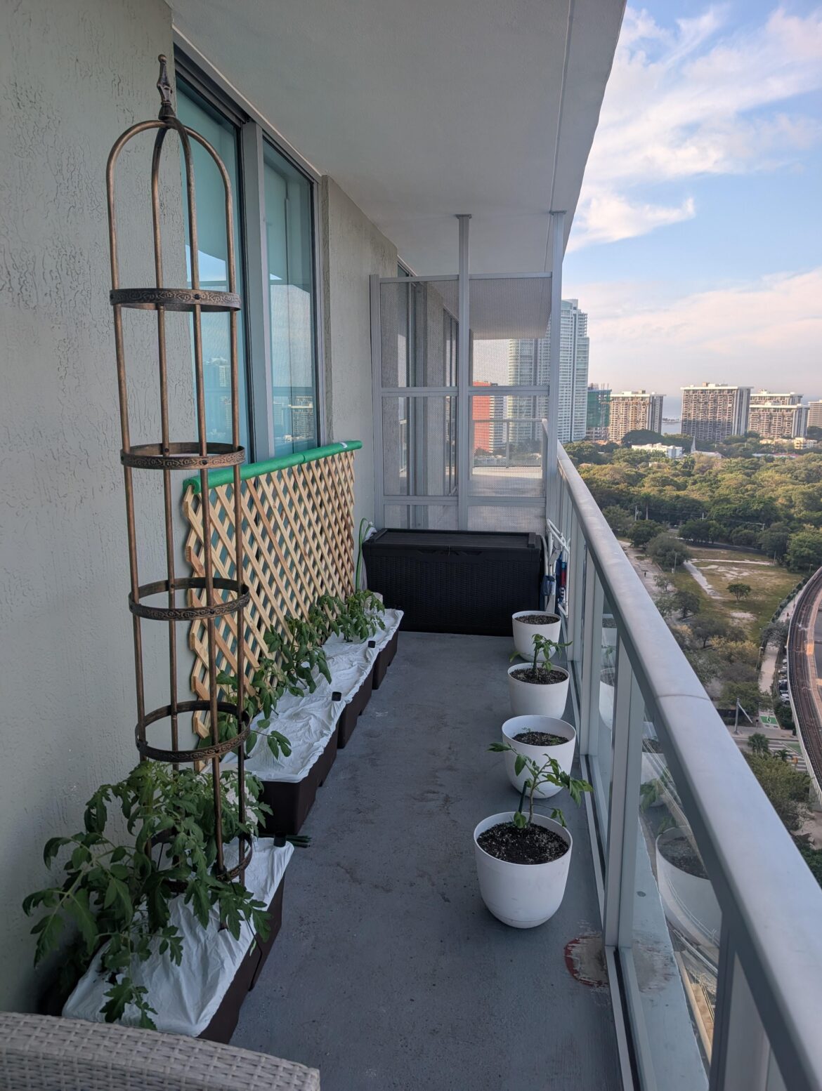 Balcony garden is finally set up! Balcony garden is finally set up!